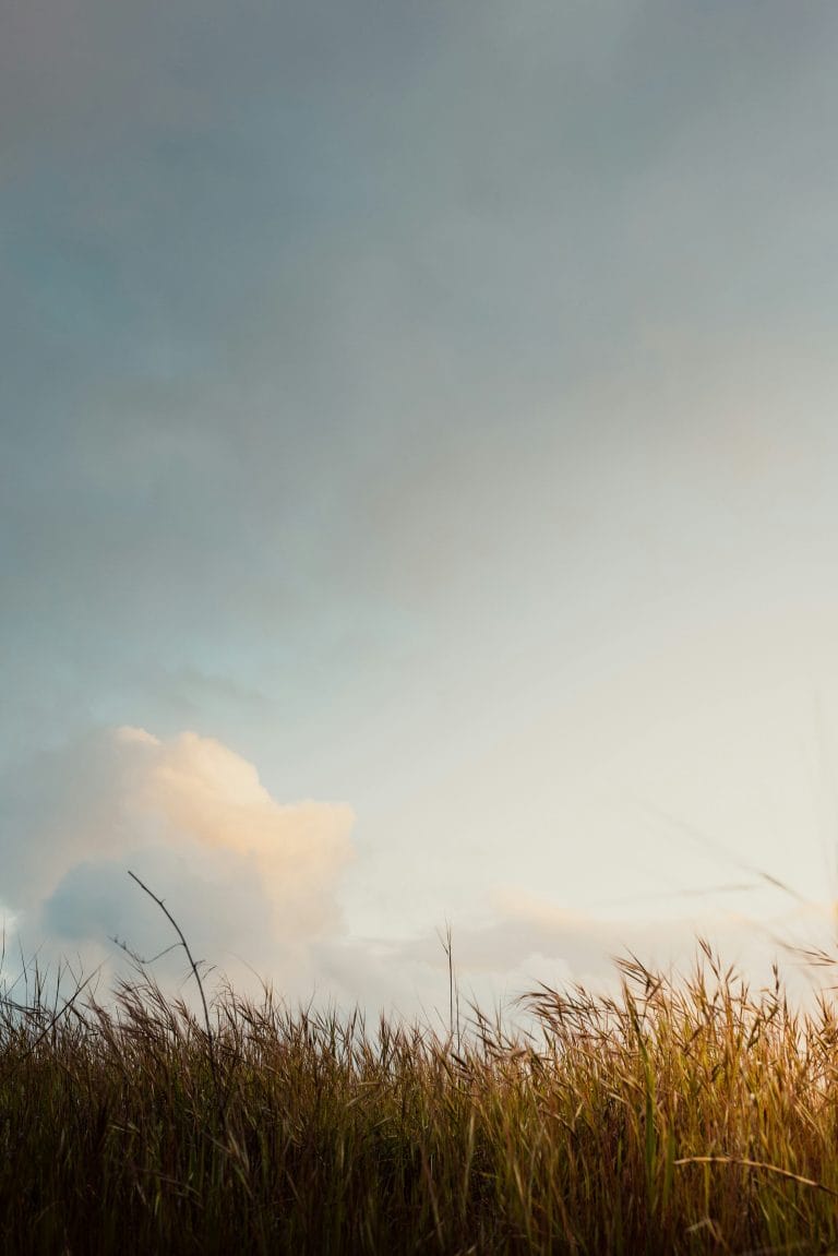 FAQ azur simple cremation funeral services quebec montreal